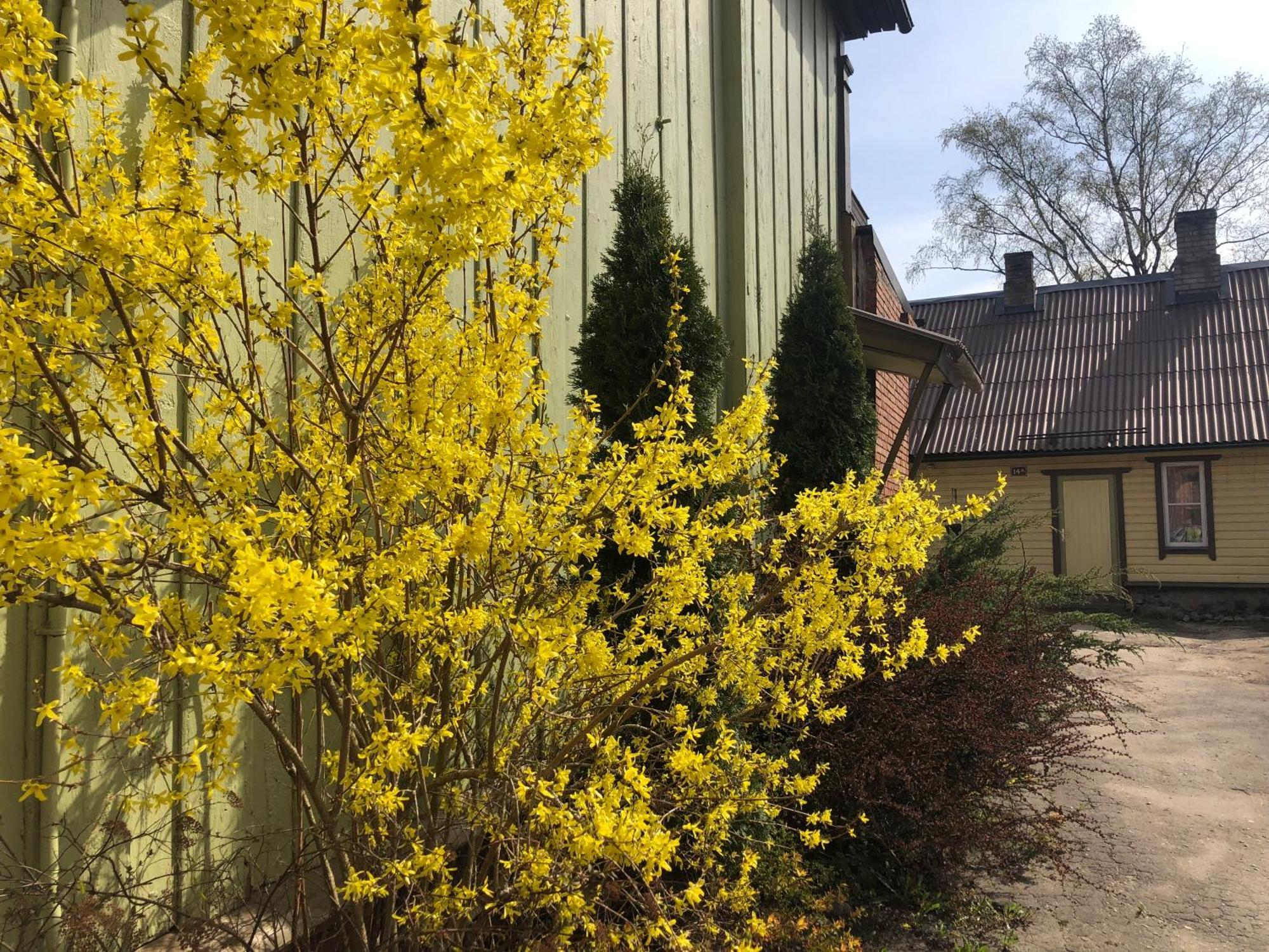 Posti Old Town Apartment Viljandi  Exterior photo